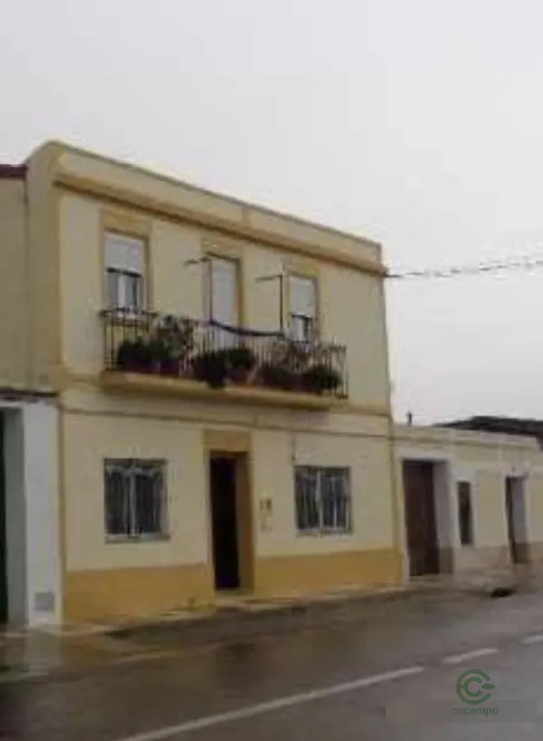 Spot image