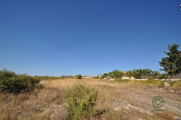 Spot image