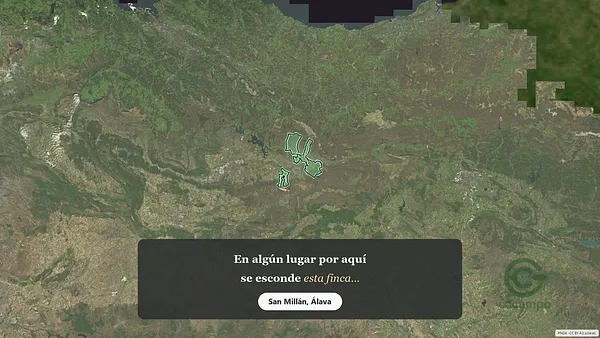 Spot image
