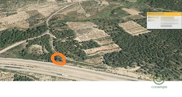 Spot image