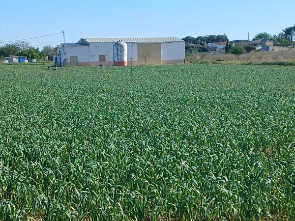 Finca agrícola de 3,7412 ha en venta en Albacete