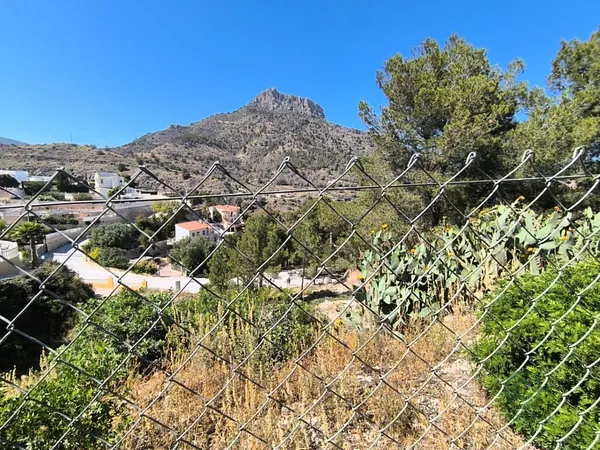 Spot image