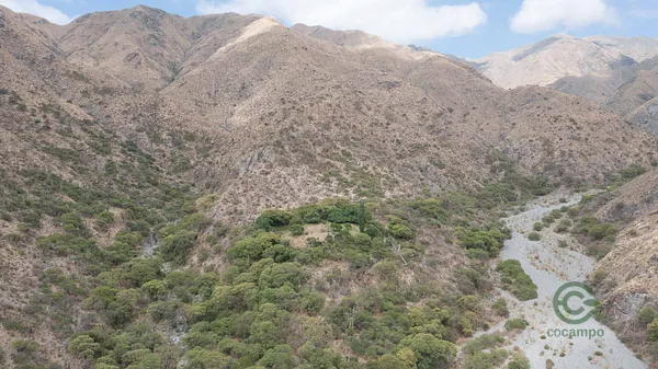 Finca rústica de 1465 ha en venta en Salta