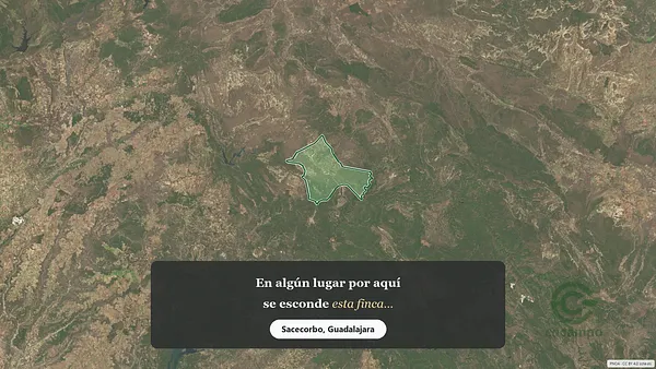 Spot image