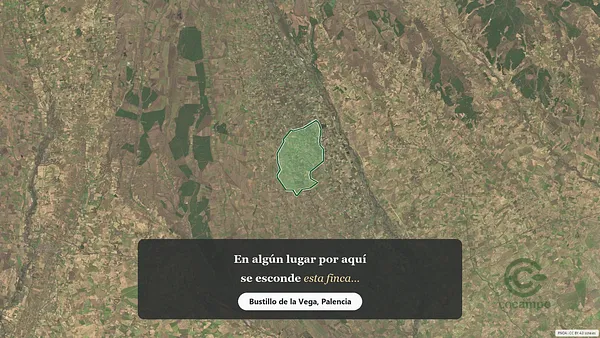 Spot image