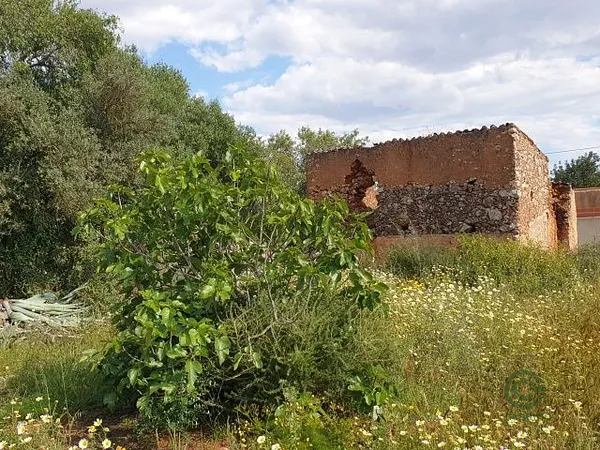 Spot image