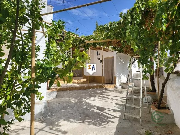 Spot image