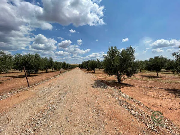Finca rústica de 0,28 ha en venta en Santisteban del Puerto, Jaén