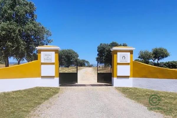Finca ganadera de 701 ha en venta en Cáceres