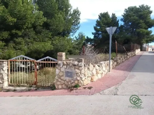 Spot image