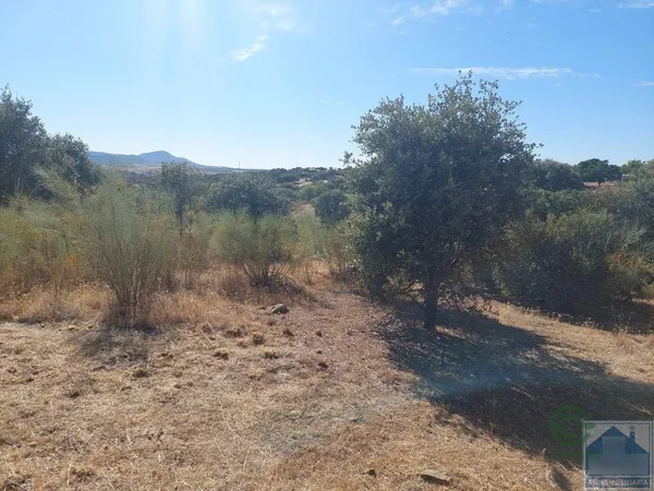 Finca agrícola de 0,61 ha en venta en Mérida, Badajoz