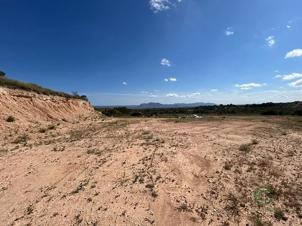 Spot image