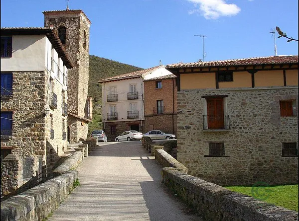 Spot image