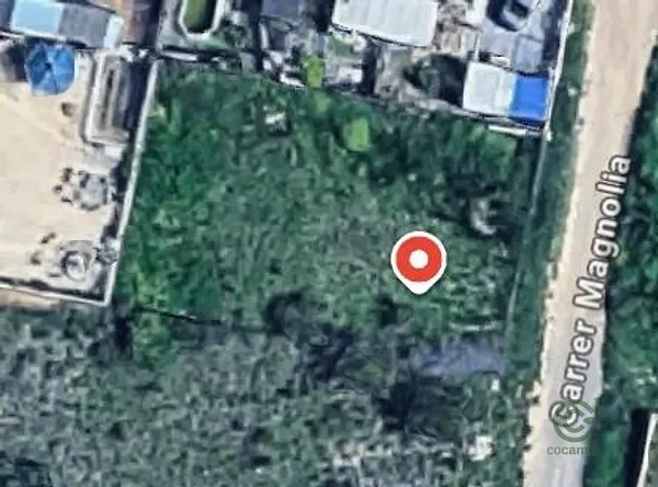 Spot image