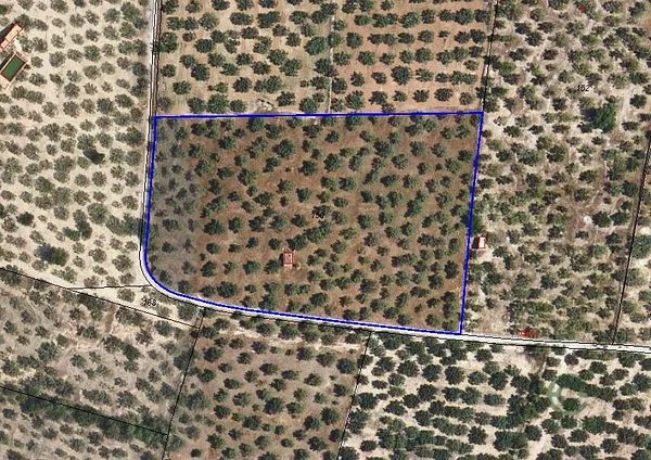 Spot image