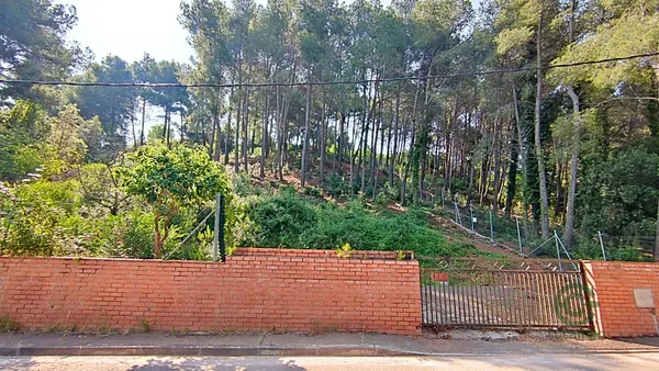 Spot image