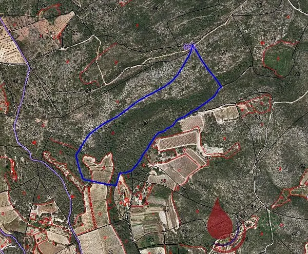 Finca rústica de 10,6224 ha en venta en Bonastre, Tarragona