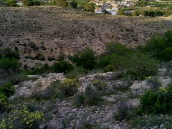 Spot image