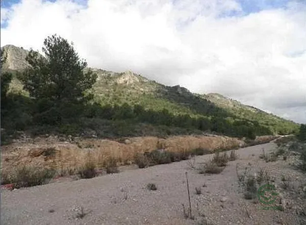 Spot image