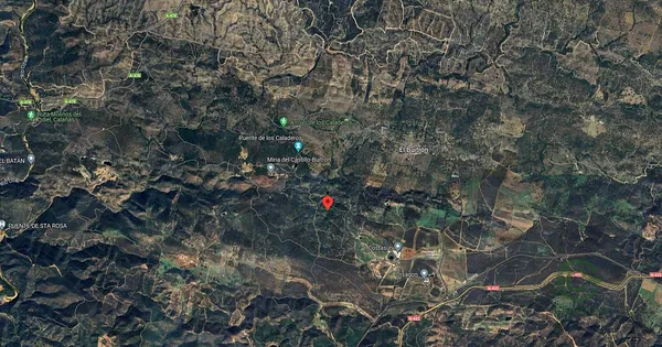 Spot image