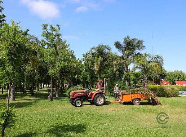 Finca de recreo de 3 ha en venta en Buenos aires