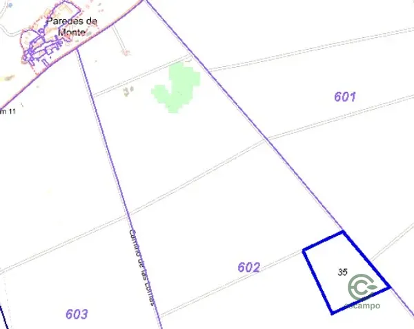 Spot image