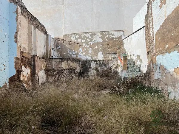 Spot image