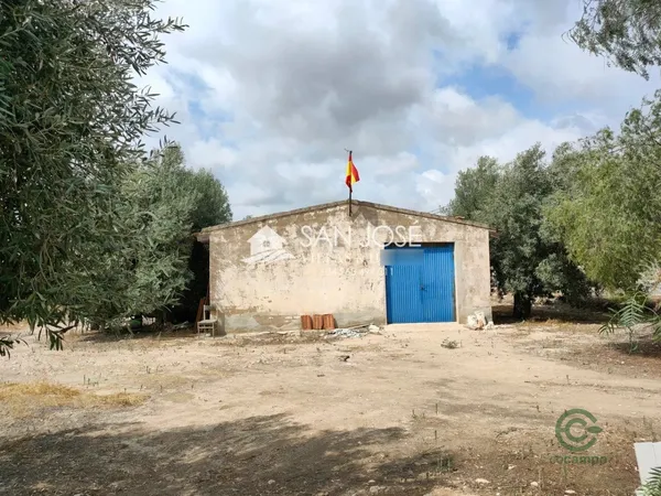 Spot image