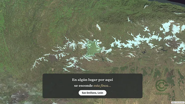 Spot image