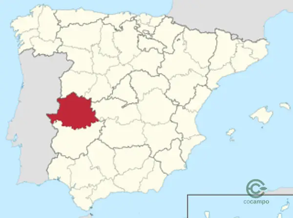 Spot image