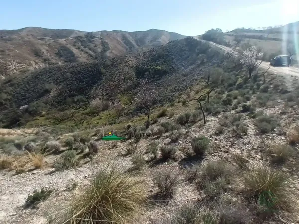 Spot image