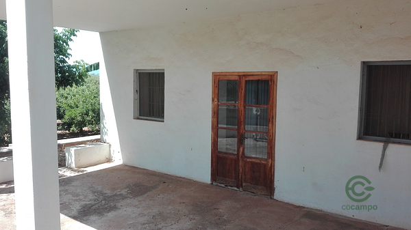 Finca agrícola de 4,9 ha en venta en Castellón