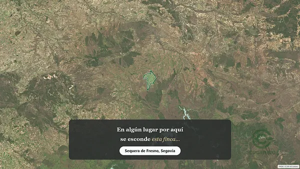 Spot image