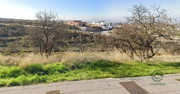 Spot image