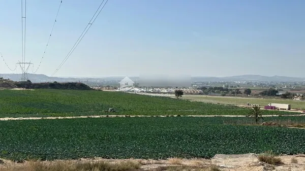 Terreno urbano de 1 ha en venta en Elche, Alicante