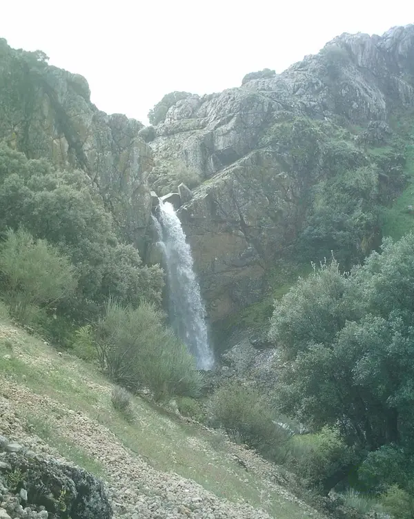 Finca rústica de 270 ha en venta en Jaén