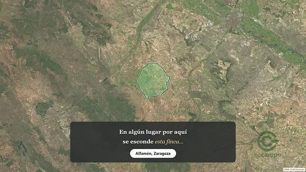 Spot image
