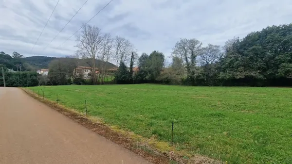 Spot image