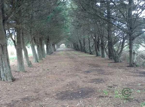 Finca rústica de 4 ha en venta en Buenos aires