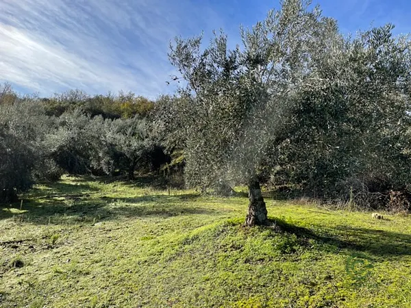 Finca agrícola de 1,8 ha en venta en Toledo