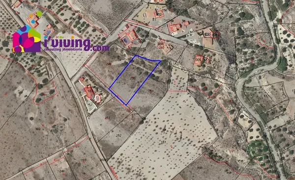 Spot image
