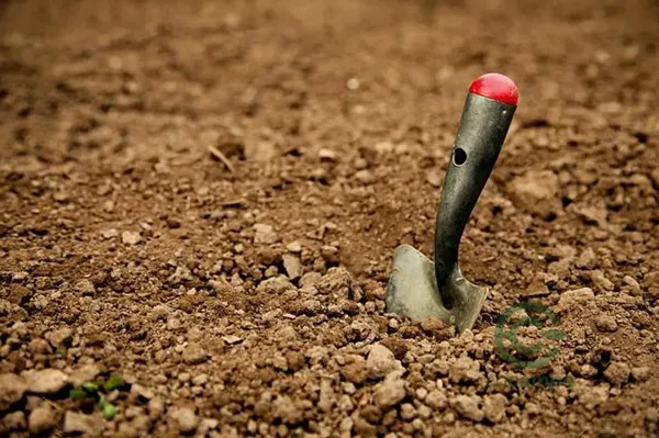 Finca agrícola de 1 ha en venta en Las palmas de gran canaria