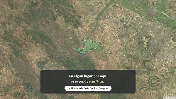 Spot image