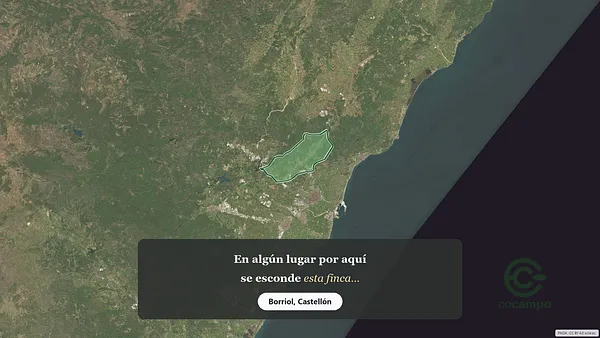 Spot image