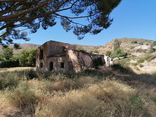 Spot image