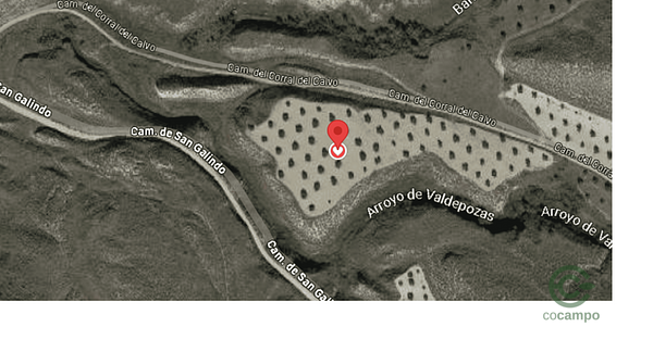 Spot image