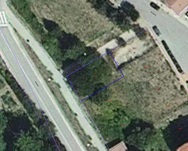 Spot image