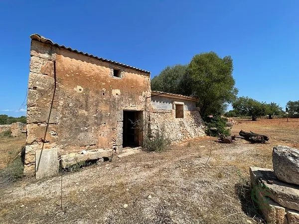 Finca agrícola de 2,8 ha en venta en Llucmajor, Baleares