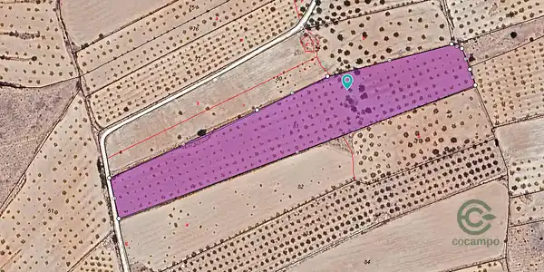 Spot image