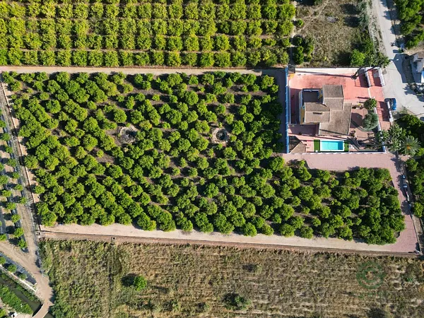 Finca rústica de 0,948 ha en venta en Orihuela, Alicante